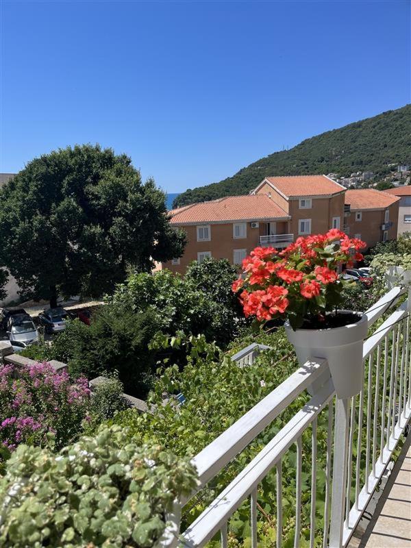 Apartmani Neda Bane Petrovac Exteriér fotografie