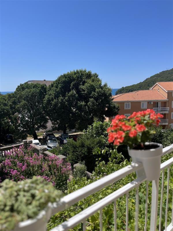 Apartmani Neda Bane Petrovac Exteriér fotografie