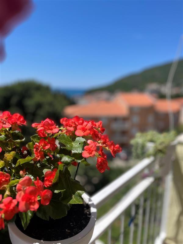 Apartmani Neda Bane Petrovac Exteriér fotografie
